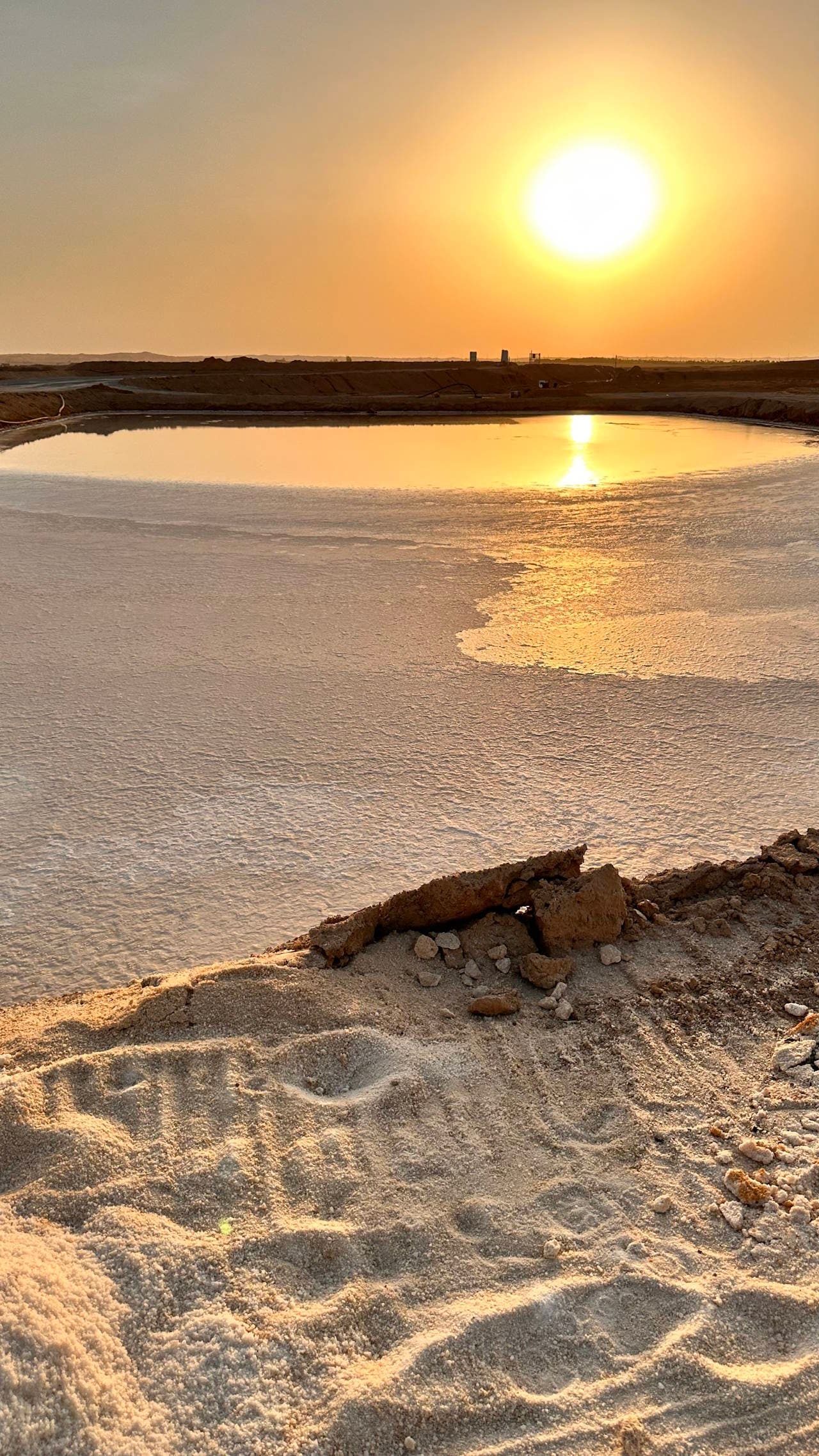 الرياض: رحلة القصب مدينة الذهب الأبيض