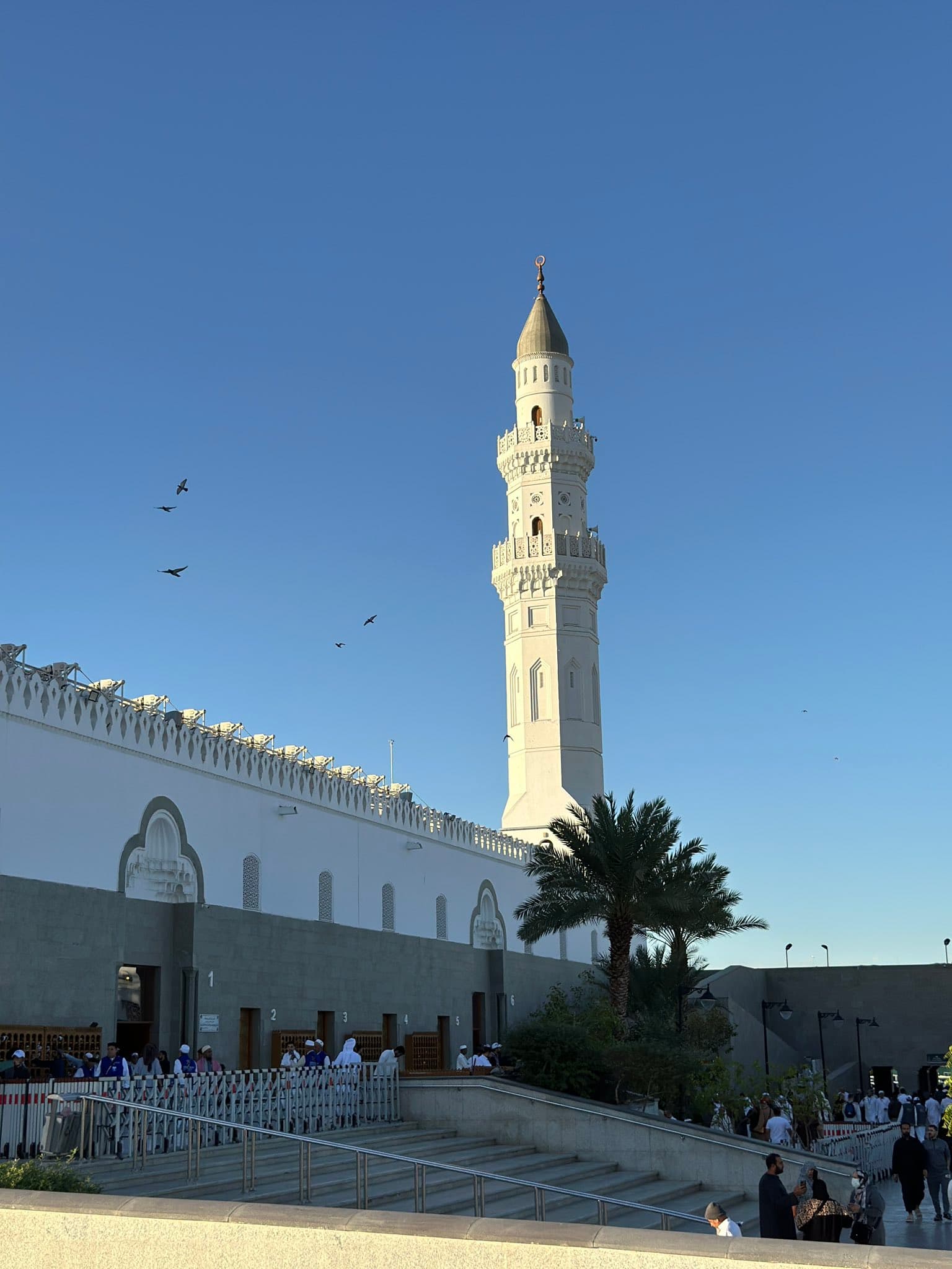 تجربه السيرة رحلة الى قباء و بستان المستظل