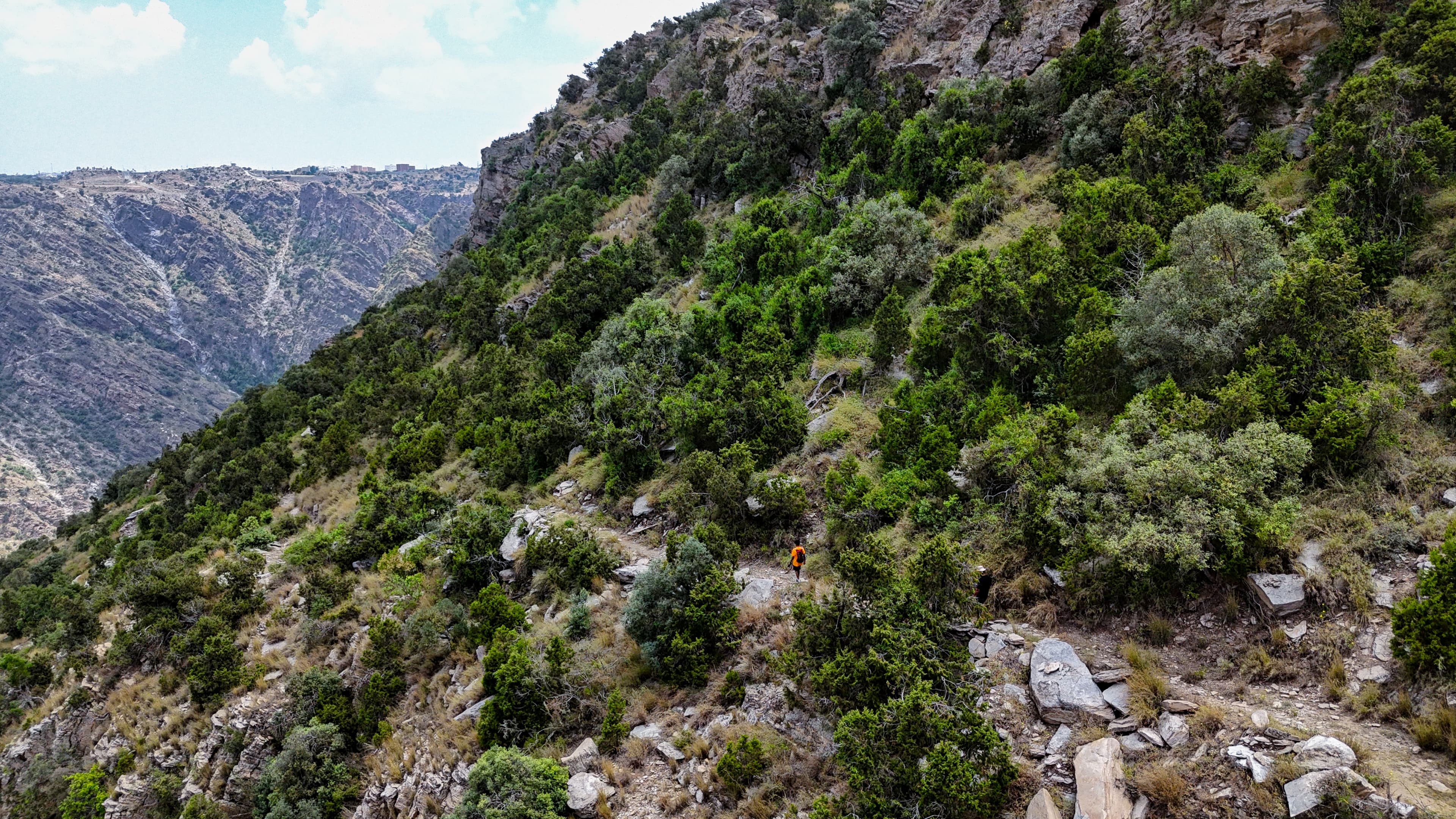 مسار حافة الجبل | تنومة